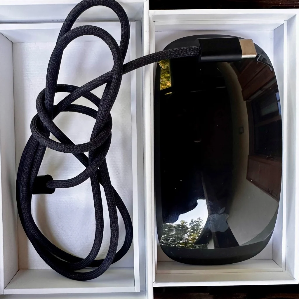 Apple Magic Mouse - Black